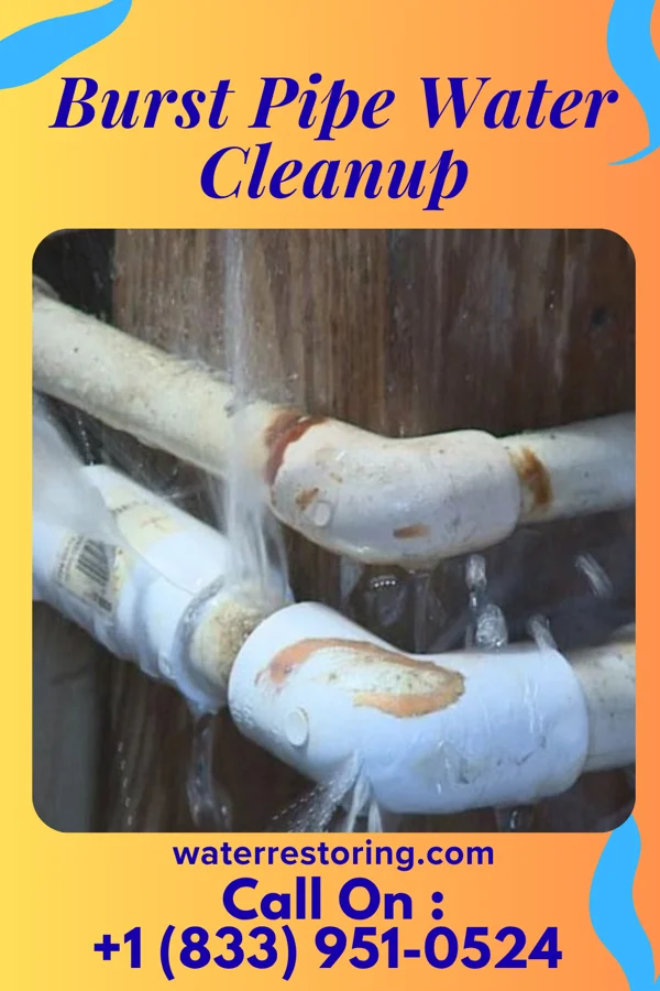 Burst Pipe Water Cleanup in Virginia Beach, VA