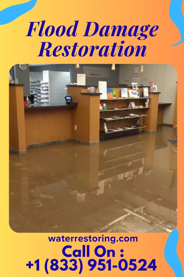 Flood Damage Restoration in Virginia Beach, VA