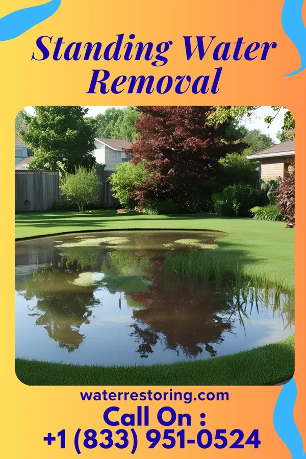 Standing Water Removal in Virginia Beach, VA